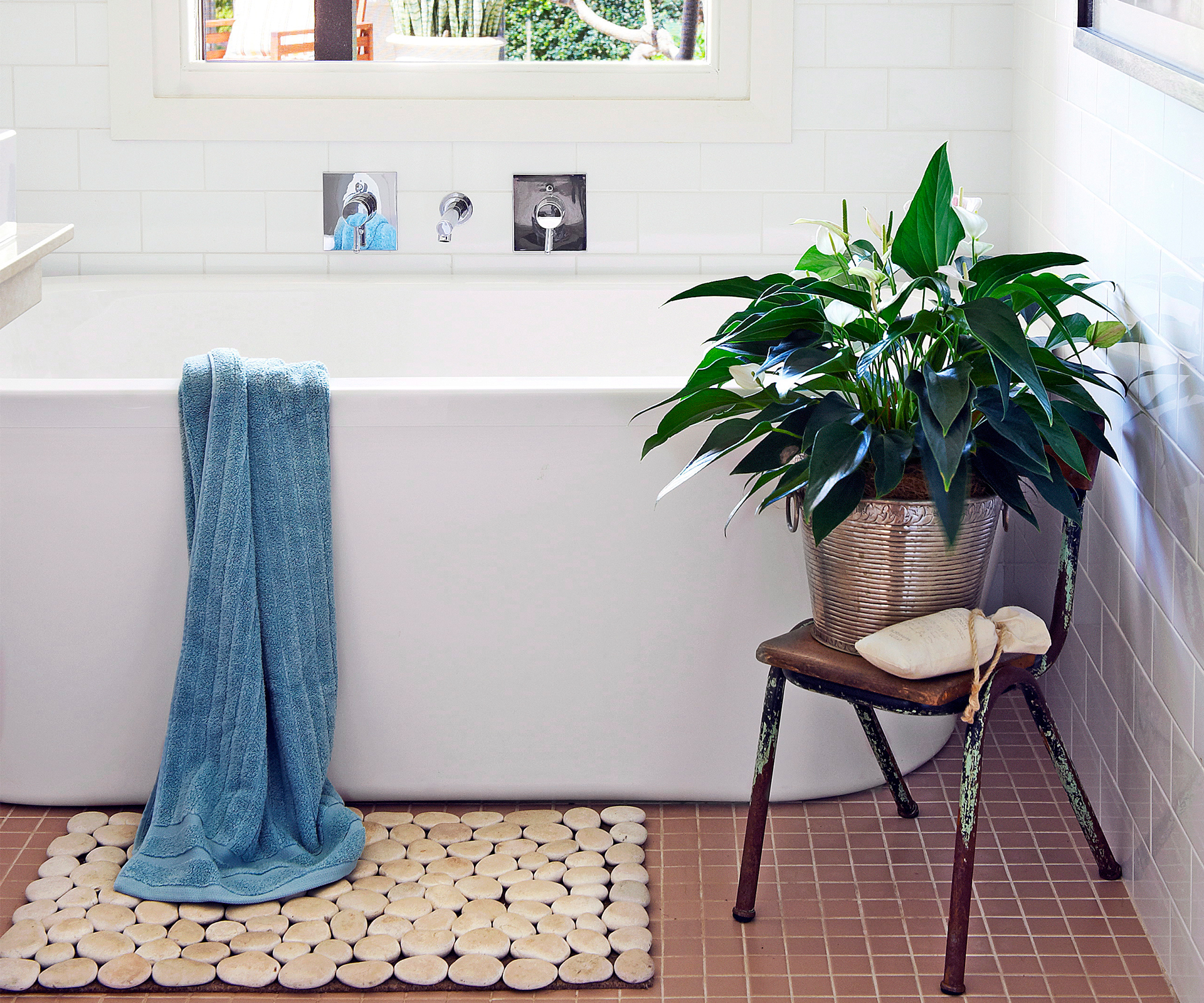  Indoor Plants That Are Perfect For Your Bathroom - Indoor Plants For Bathroom Nz